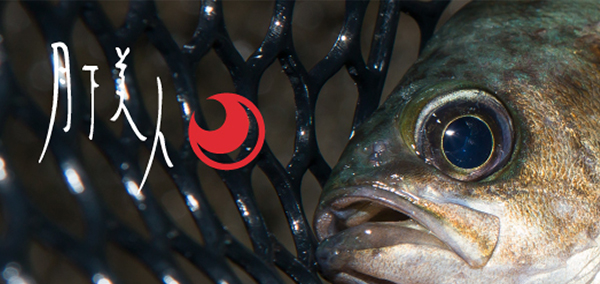 ライトソルトゲーム入門に最適な月下美人 X